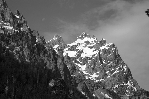 IMG_6038_BW
