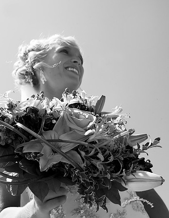 DAO_3499_bw